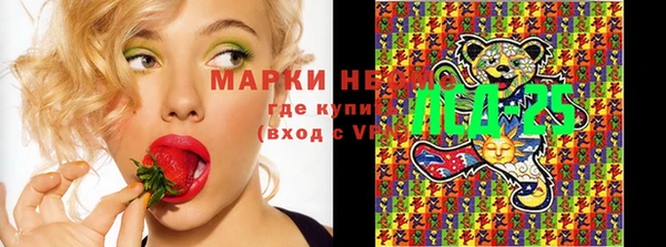 сатива Тавда