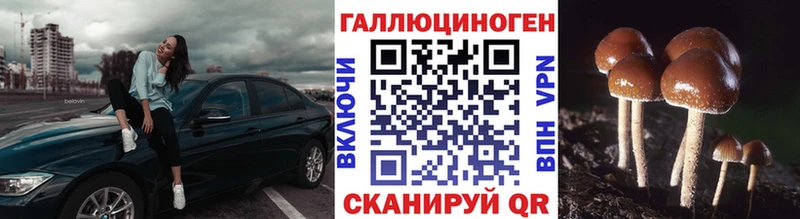 закладки  Артёмовский  Псилоцибиновые грибы мухоморы 